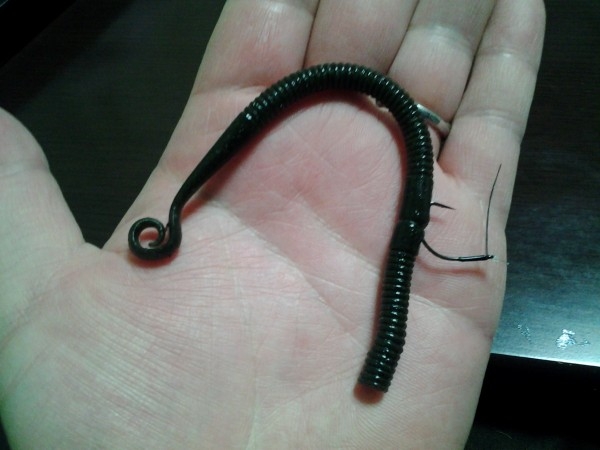 hideup 美濃島健二 ブログ写真 2015/04/11