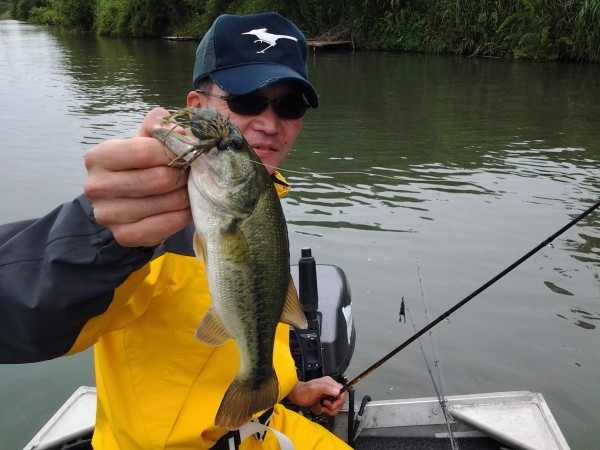 hideup 美濃島健二 ブログ写真 2015/06/12