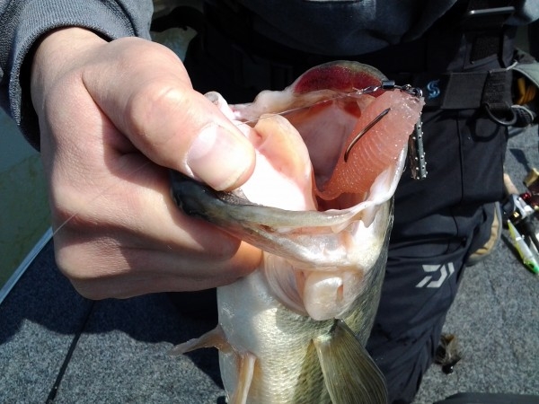 hideup 美濃島健二 ブログ写真 2015/03/21