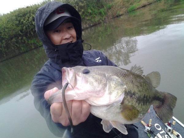 hideup 美濃島健二 ブログ写真 2015/04/11