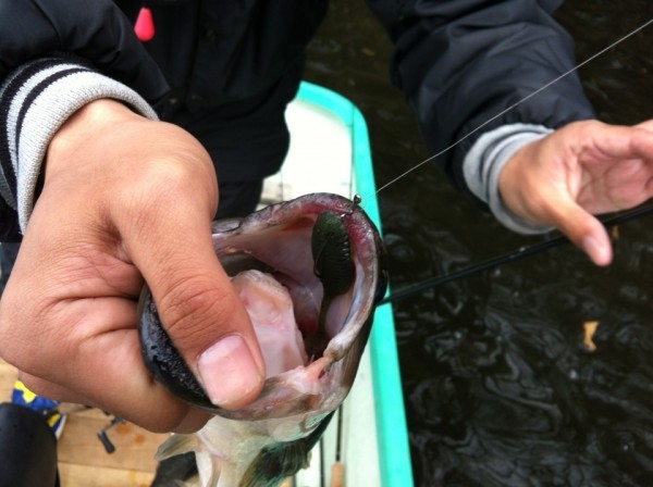 hideup 美濃島健二 ブログ写真 2013/04/26