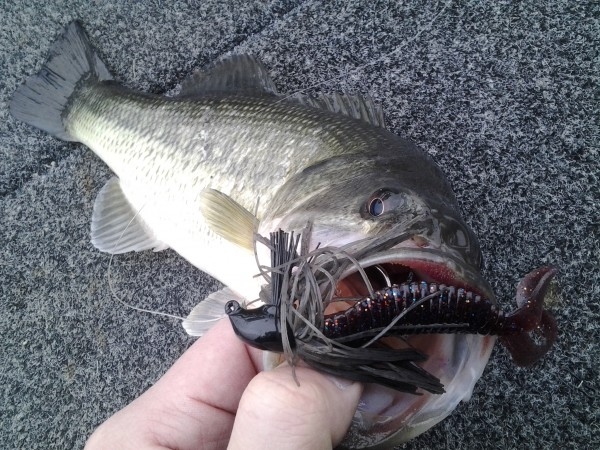 hideup 美濃島健二 ブログ写真 2015/03/02