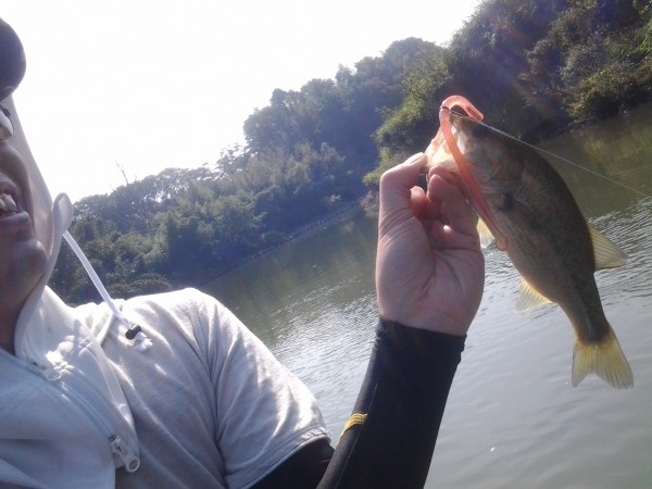 hideup 美濃島健二 ブログ写真 2014/09/18