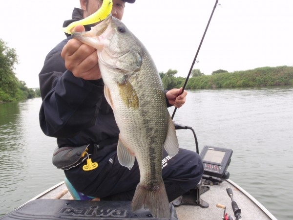 hideup 美濃島健二 ブログ写真 2013/06/15