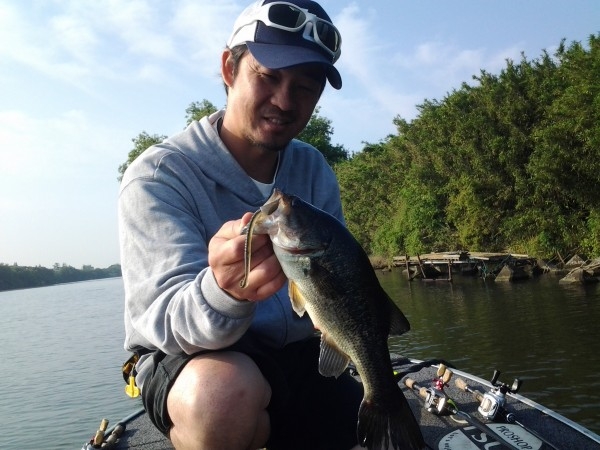 hideup 美濃島健二 ブログ写真 2015/05/30