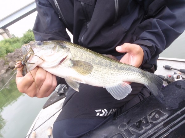 hideup 美濃島健二 ブログ写真 2013/06/15