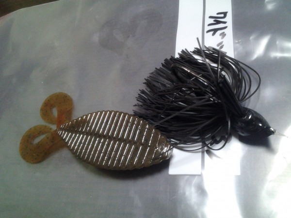 hideup 美濃島健二 ブログ写真 2015/01/25