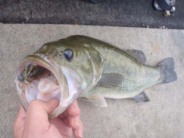 hideup 美濃島健二 ブログ写真 2013/09/07