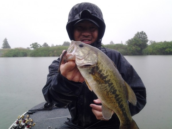 hideup 美濃島健二 ブログ写真 2015/06/12