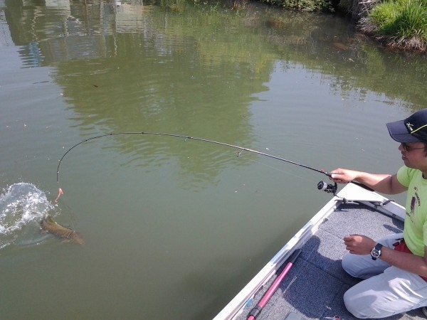 hideup 美濃島健二 ブログ写真 2015/05/03