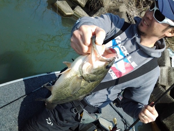 hideup 美濃島健二 ブログ写真 2015/03/21