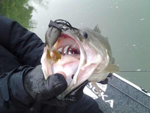 hideup 美濃島健二 ブログ写真 2015/02/21