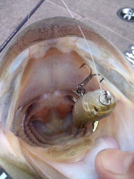 hideup 森悟司 ブログ写真 2013/06/21