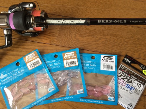 hideup 森悟司 ブログ写真 2016/01/18