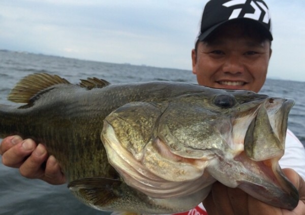 hideup 森悟司 ブログ写真 2014/07/25