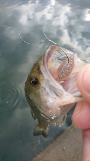 hideup 森悟司 ブログ写真 2017/01/10