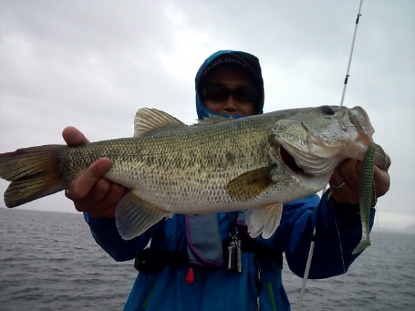 hideup 森悟司 ブログ写真 2013/05/31