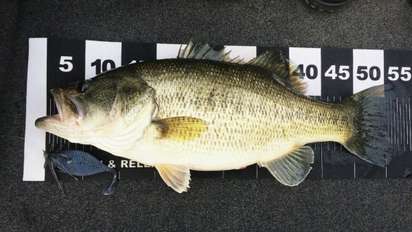 hideup 森悟司 ブログ写真 2017/04/16