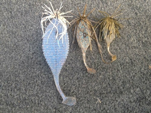 hideup 森悟司 ブログ写真 2013/12/20