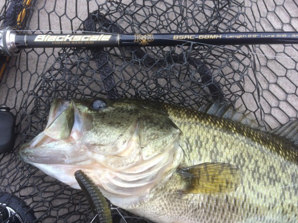 hideup 森悟司 ブログ写真 2016/04/04