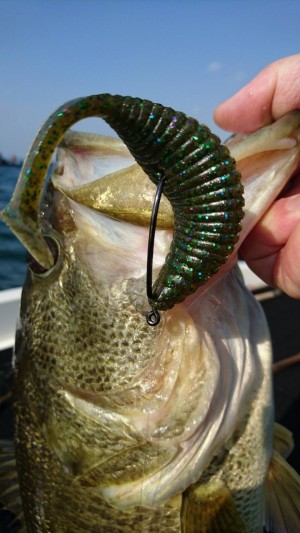 hideup 森悟司 ブログ写真 2017/04/16