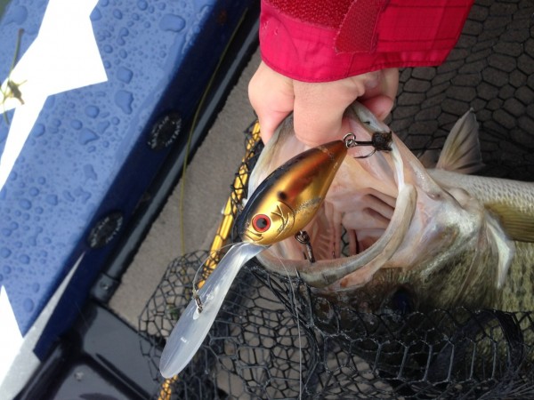 hideup 森悟司 ブログ写真 2014/11/05