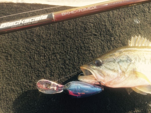 hideup 森悟司 ブログ写真 2016/10/30