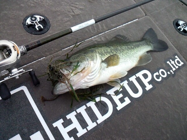 hideup 森悟司 ブログ写真 2013/06/21