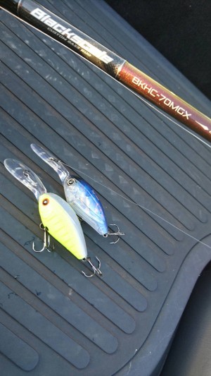 hideup 森悟司 ブログ写真 2016/10/30