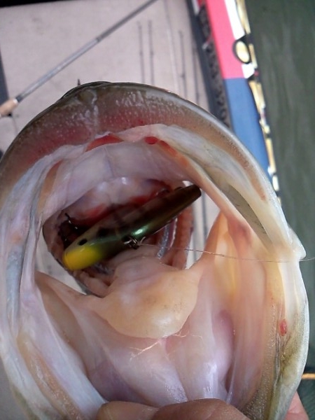 hideup 森悟司 ブログ写真 2013/11/16