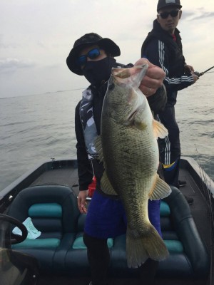 hideup 森悟司 ブログ写真 2017/04/16