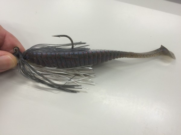 hideup 森悟司 ブログ写真 2016/02/24