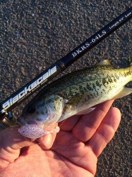 hideup 森悟司 ブログ写真 2016/01/18