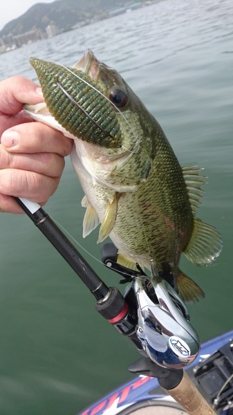 hideup 森悟司 ブログ写真 2016/05/08