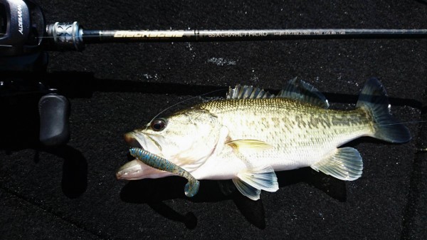 hideup 森悟司 ブログ写真 2017/05/05