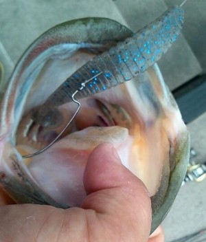 hideup 森悟司 ブログ写真 2013/05/31