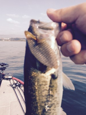 hideup 森悟司 ブログ写真 2015/10/08