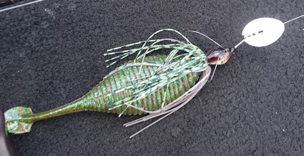 hideup 森悟司 ブログ写真 2017/09/24