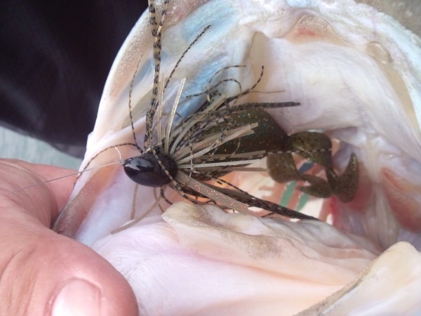 hideup 森悟司 ブログ写真 2013/12/20