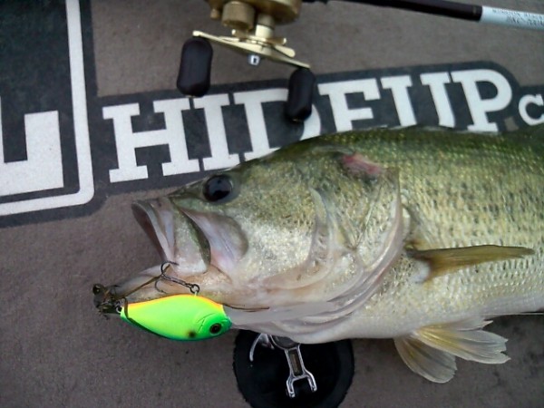 hideup 森悟司 ブログ写真 2013/07/20