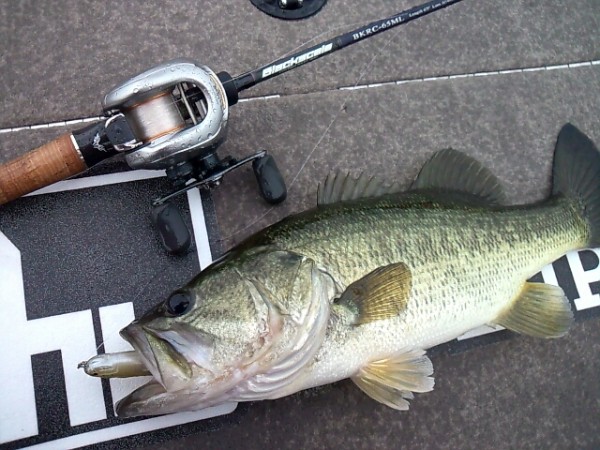 hideup 森悟司 ブログ写真 2013/06/21