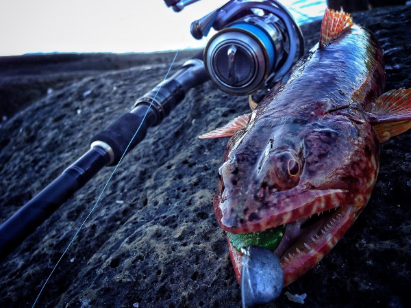 hideup 森田健太郎 ブログ写真 2018/06/12