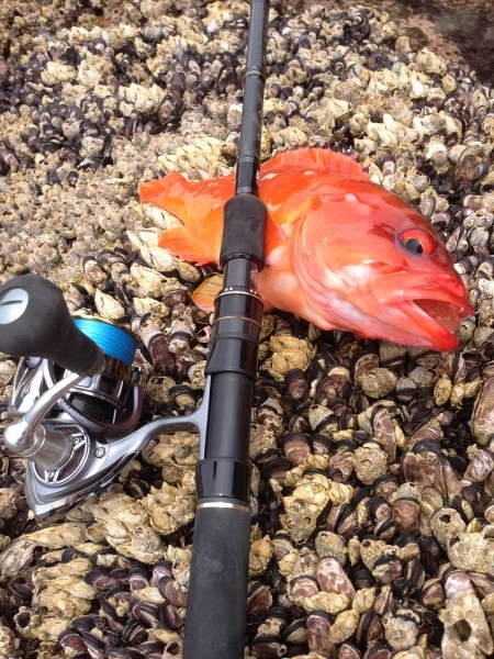 hideup 森田健太郎 ブログ写真 2018/06/12