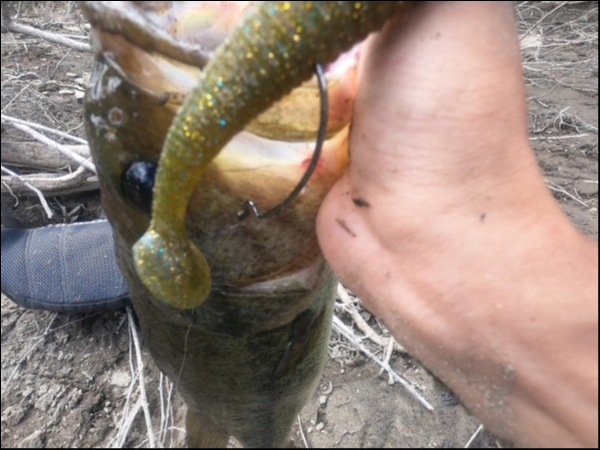 hideup 森田健太郎 ブログ写真 2018/06/13