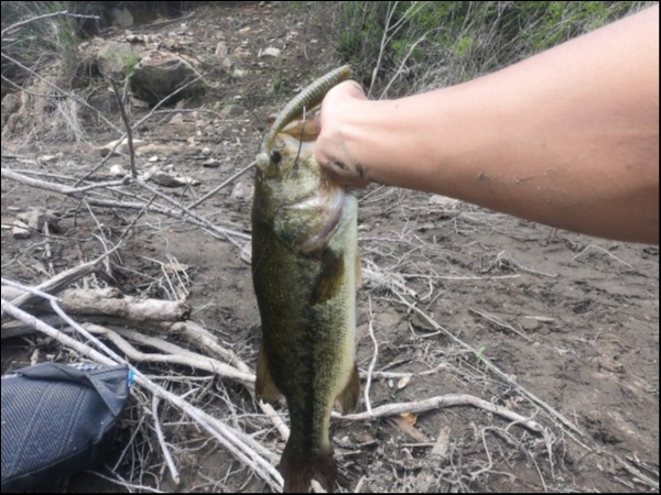hideup 森田健太郎 ブログ写真 2018/06/13