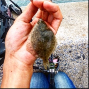 hideup 森田健太郎 ブログ写真 2018/06/15