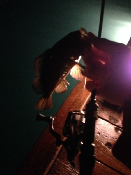 hideup 森田健太郎 ブログ写真 2018/06/18