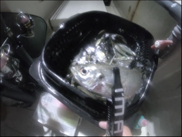 hideup 森田健太郎 ブログ写真 2018/06/20