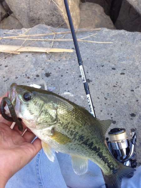 hideup 森田健太郎 ブログ写真 2018/07/01