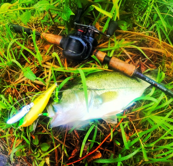 hideup 森田健太郎 ブログ写真 2018/07/06